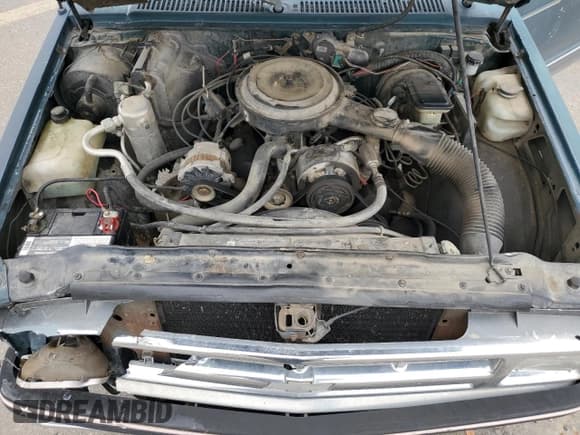 ✅ 1993 Chevrolet S-10 X96 • VIN: 1GCCS14R6P8132536 • Lot: 80137614. Wystawiony na Copart z przebiegiem 311 636 mil. Bezpłatny archiwum sprzedaży aukcyjnych z USA i szczegółowy raport historii pojazdu na DreamBid. Zdjęcie 11.