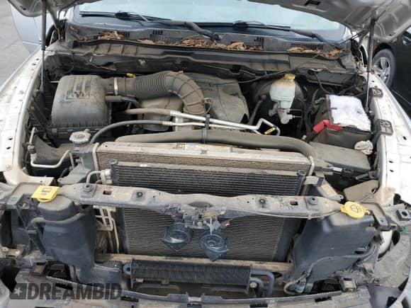 2010 Dodge 1500 Laramie z VIN 1D7RV1CT2AS262800, wystawiony jako Copart lot #81690014 z przebiegiem 111 002 mil mil oraz Szkoda całkowita • Salvage title. Historia ofert i sprzedaży dostępna na DreamBid. Obrazek 11.