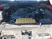 ✅ 2016 Ford F-150 XLT • VIN: 1FTEW1EG1GKD39297 • Лот: 43109835. Опубликован ранее на IAAI с пробегом Не указан. Бесплатный доступ к архиву аукционных продаж из США и подробный отчёт об истории автомобиля на DreamBid. Изображение 10.