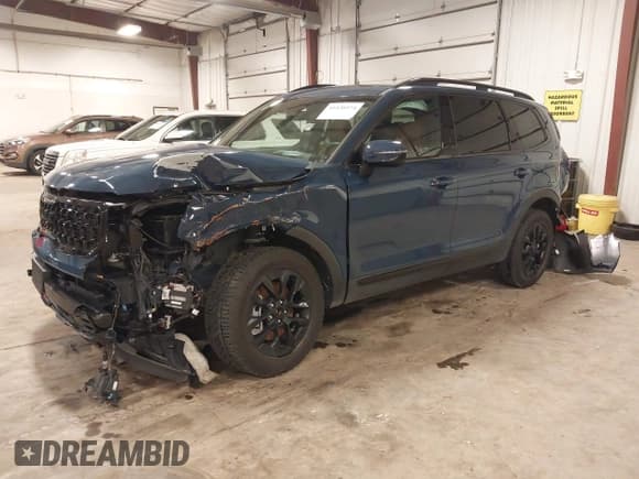 ✅ 2025 Kia Telluride SX-Prestige X-Line • VIN: 5XYP5DGC1SG580637 • Lot: 41430574. Wystawiony na IAAI z przebiegiem 7 336 mil. Bezpłatny archiwum sprzedaży aukcyjnych z USA i szczegółowy raport historii pojazdu na DreamBid. Zdjęcie 17.