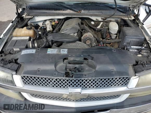 2004 Chevrolet Silverado 1500 LS with VIN 2GCEC19V041203546, listed as a Copart auction lot 80178525 with 454,830 mi miles and Salvage title. Bid and sale history available at DreamBid. Image 11.