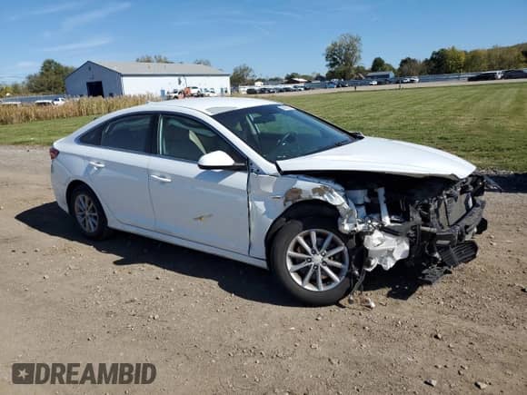 2018 Hyundai Sonata SE с VIN 5NPE24AF7JH675262, выставлен на аукционе Copart как лот 86427965 с пробегом 120 130 миль миль и Списание • Salvage title. История ставок и продаж доступна на DreamBid. Изображение 4.