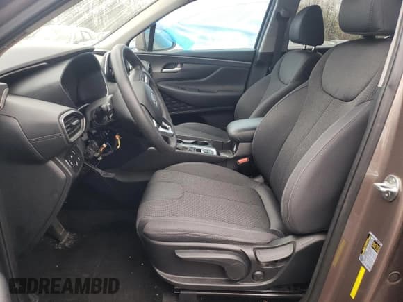 ✅ 2019 Hyundai Santa Fe SE • VIN: 5NMS2CAD0KH120793 • Lot: 51002314. Wystawiony na Copart z przebiegiem 37 126 mil. Bezpłatny archiwum sprzedaży aukcyjnych z USA i szczegółowy raport historii pojazdu na DreamBid. Zdjęcie 7.