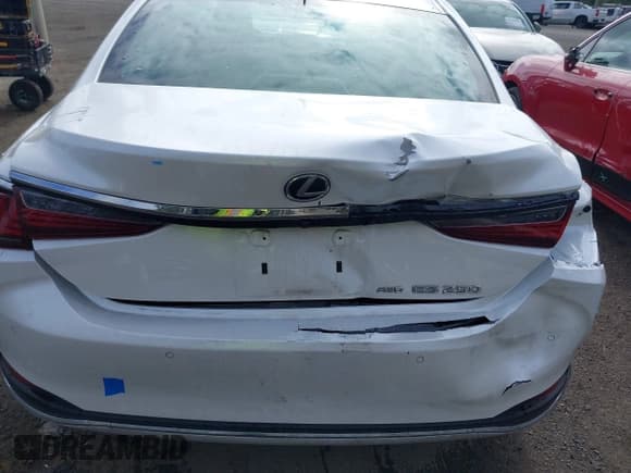 ✅ 2024 Lexus ES 250 • VIN: 58AD11D17RU012342 • Lot: 42207023. Listed on IAAI with 12,930 mi. Free auction sales archive from the USA and detailed vehicle history report at DreamBid. Image 19.