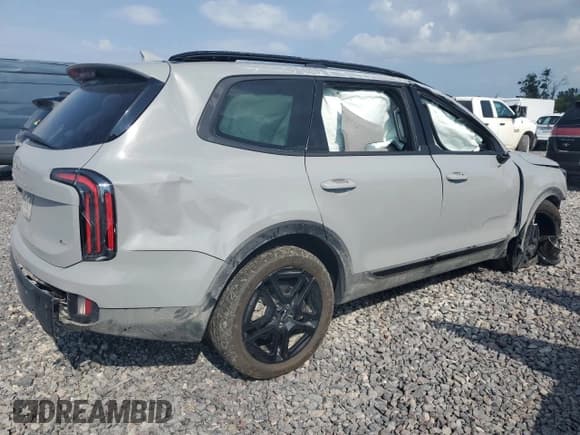 ✅ 2024 Kia Telluride SX X-Pro • VIN: 5XYP5DGC1RG526569 • Lot: 69287125. Wystawiony na Copart z przebiegiem 20 502 mil. Bezpłatny archiwum sprzedaży aukcyjnych z USA i szczegółowy raport historii pojazdu na DreamBid. Zdjęcie 3.