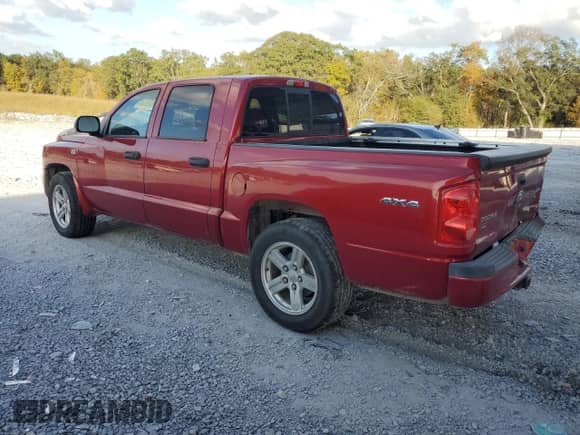 2010 Dodge Dakota SXT with VIN 1D7CW3GP0AS107674, listed as a Copart auction lot 79161534 with 181,681 mi miles and Salvage title. Bid and sale history available at DreamBid. Image 2.