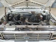 ✅ 1981 Ford F-250 • VIN: 1FTEF25E0BUA77404 • Lot: 53231325. Wystawiony na Copart z przebiegiem 167 290 mil. Bezpłatny archiwum sprzedaży aukcyjnych z USA i szczegółowy raport historii pojazdu na DreamBid. Zdjęcie 11.