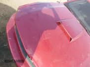 ✅ 2007 Ford Mustang Deluxe • VIN: 1ZVFT80N875333293 • Lot: 43703309. Listed on IAAI with 267,629 mi. Free auction sales archive from the USA and detailed vehicle history report at DreamBid. Image 19.