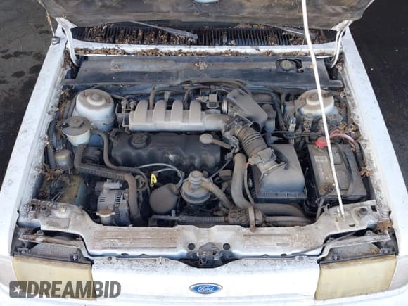 ✅ 1992 Ford Tempo GL • VIN: 2FAPP36X6NB148214 • Lot: 43136012. Listed on IAAI with 8,021 mi. Free auction sales archive from the USA and detailed vehicle history report at DreamBid. Image 10.