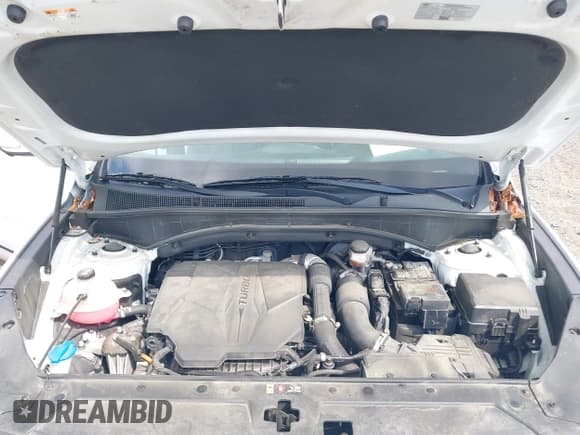 ✅ 2022 Hyundai Santa Fe Limited • VIN: 5NMS4DAL5NH399802 • Lot: 42845711. Wystawiony na IAAI z przebiegiem 57 391 mil. Bezpłatny archiwum sprzedaży aukcyjnych z USA i szczegółowy raport historii pojazdu na DreamBid. Zdjęcie 10.