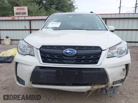 2017 Subaru Forester Premium with VIN JF2SJGEC7HH807597, listed as a IAAI auction lot 42053013 with 112,793 mi miles and . Bid and sale history available at DreamBid. Image 12.