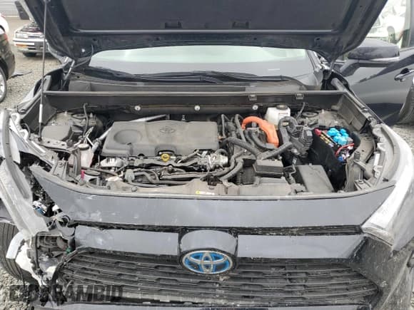 ✅ 2024 Toyota RAV4 Hybrid XLE Premium • VIN: JTMB6RFVXRD117847 • Lot: 62189785. Wystawiony na Copart z przebiegiem 39 227 mil. Bezpłatny archiwum sprzedaży aukcyjnych z USA i szczegółowy raport historii pojazdu na DreamBid. Zdjęcie 12.