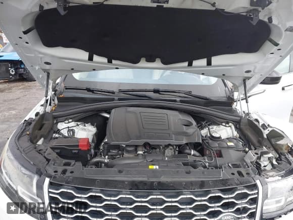 ✅ 2019 Land Rover Range Rover Velar S • VIN: SALYB2EX2KA796884 • Lot: 42680701. Wystawiony na IAAI z przebiegiem 71 888 mil. Bezpłatny archiwum sprzedaży aukcyjnych z USA i szczegółowy raport historii pojazdu na DreamBid. Zdjęcie 10.