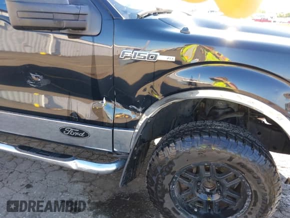 ✅ 2009 Ford F-150 XL • VIN: 1FTRW14809FA66019 • Lot: 42190218. Listed on IAAI with 197,727 mi. Free auction sales archive from the USA and detailed vehicle history report at DreamBid. Image 6.