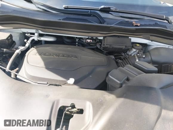 ✅ 2021 Honda Pilot Touring 8-Passenger • VIN: 5FNYF6H95MB091006 • Лот: 42509101. Опубликован ранее на IAAI с пробегом 43 879 миль. Бесплатный доступ к архиву аукционных продаж из США и подробный отчёт об истории автомобиля на DreamBid. Изображение 10.