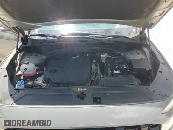 2023 Hyundai Santa Fe SEL with VIN 5NMS2DAJ1PH635353, listed as a Copart auction lot 64493885 with 31,403 mi miles and Salvage title. Bid and sale history available at DreamBid. Image 11.