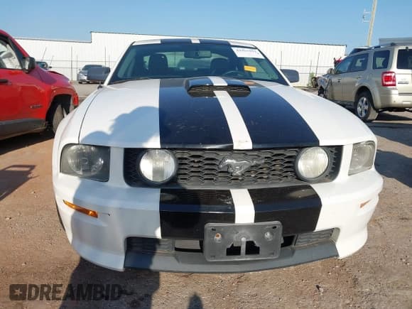 ✅ 2008 Ford Mustang GT Deluxe • VIN: 1ZVHT82H185126763 • Lot: 42955951. Listed on IAAI with 113,448 mi. Free auction sales archive from the USA and detailed vehicle history report at DreamBid. Image 12.