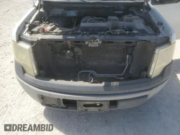 ✅ 2009 Ford F-150 XL • VIN: 1FTRF12899KA68538 • Лот: 49669045. Опубликован ранее на Copart с пробегом 180 740 миль. Бесплатный доступ к архиву аукционных продаж из США и подробный отчёт об истории автомобиля на DreamBid. Изображение 11.