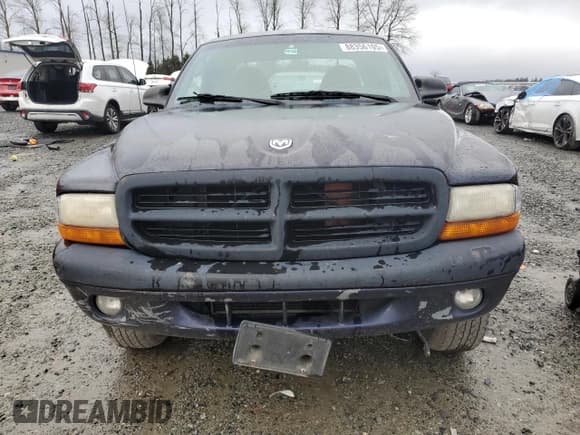 ✅ 1999 Dodge Dakota SLT • VIN: 1B7GG22X8XS157533 • Lot: 88356105. Wystawiony na Copart z przebiegiem 193 746 mil. Bezpłatny archiwum sprzedaży aukcyjnych z USA i szczegółowy raport historii pojazdu na DreamBid. Zdjęcie 5.