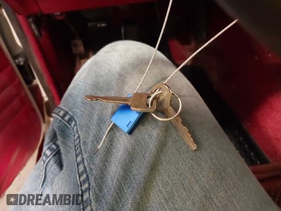 ✅ 1988 Ford Ranger • VIN: 1FTCR15TXJPB78342 • Lot: 41696081. Listed on IAAI with 14,333 mi. Free auction sales archive from the USA and detailed vehicle history report at DreamBid. Image 11.