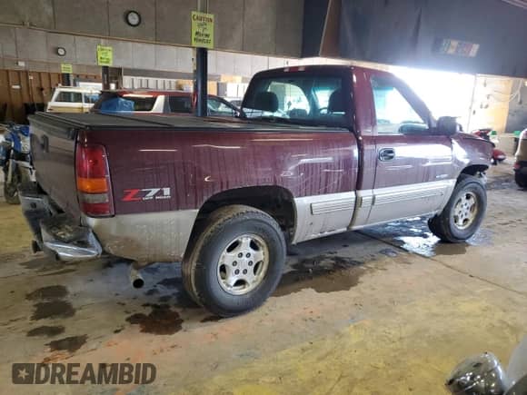 2002 Chevrolet Silverado 1500 LS with VIN 1GCEK14T52Z224244, listed as a Copart auction lot 46358495 with 167,200 mi miles and Clean title. Bid and sale history available at DreamBid. Image 3.