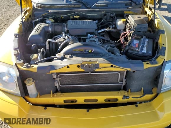 ✅ 2006 Dodge Dakota SLT • VIN: 1D7HW48N56S573813 • Lot: 90356055. Wystawiony na Copart z przebiegiem 133 646 mil. Bezpłatny archiwum sprzedaży aukcyjnych z USA i szczegółowy raport historii pojazdu na DreamBid. Zdjęcie 11.