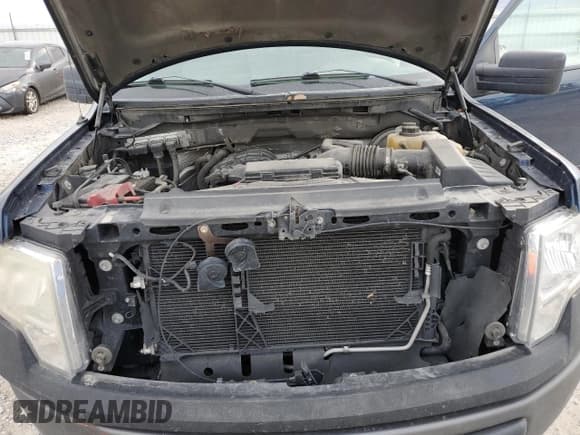 ✅ 2013 Ford F-150 XL • VIN: 1FTMF1CM5DKF27921 • Lot: 93141745. Wystawiony na Copart z przebiegiem 99 146 mil. Bezpłatny archiwum sprzedaży aukcyjnych z USA i szczegółowy raport historii pojazdu na DreamBid. Zdjęcie 11.