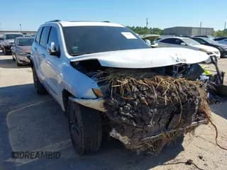 ✅ 2019 Jeep Grand Cherokee Limited • VIN: 1C4RJFBG9KC758048 • Lot: 43588657. Wystawiony na IAAI z przebiegiem 122 461 mil. Bezpłatny archiwum sprzedaży aukcyjnych z USA i szczegółowy raport historii pojazdu na DreamBid. Zdjęcie 1.