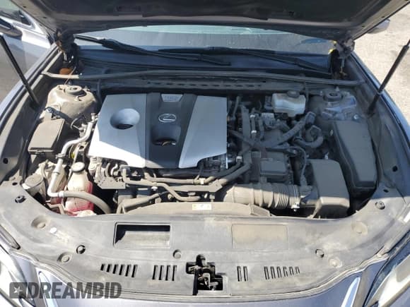 ✅ 2020 Lexus ES 300h • VIN: 58AC21B12LU006208 • Lot: 54226205. Wystawiony na Copart z przebiegiem 118 914 mil. Bezpłatny archiwum sprzedaży aukcyjnych z USA i szczegółowy raport historii pojazdu na DreamBid. Zdjęcie 11.