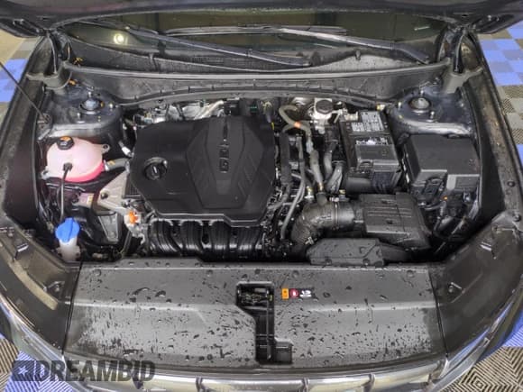 ✅ 2024 Hyundai Tucson SEL • VIN: 5NMJBCDE8RH330942 • Lot: 67969754. Wystawiony na Copart z przebiegiem 18 825 mil. Bezpłatny archiwum sprzedaży aukcyjnych z USA i szczegółowy raport historii pojazdu na DreamBid. Zdjęcie 12.