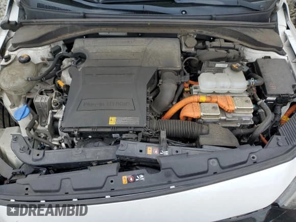 ✅ 2019 Hyundai Ioniq • VIN: KMHC65LD8KU182979 • Lot: 80360045. Listed on Copart with 108,626 mi. Free auction sales archive from the USA and detailed vehicle history report at DreamBid. Image 12.