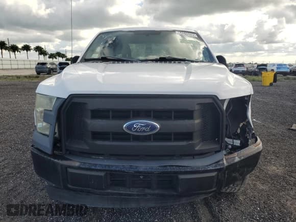 ✅ 2015 Ford F-150 XL • VIN: 1FTEX1CP8FKD93842 • Lot: 84215295. Wystawiony na Copart z przebiegiem 165 180 mil. Bezpłatny archiwum sprzedaży aukcyjnych z USA i szczegółowy raport historii pojazdu na DreamBid. Zdjęcie 5.