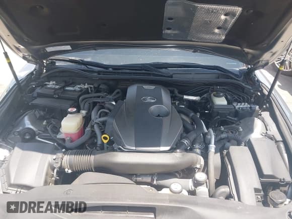 ✅ 2018 Lexus IS 300 • VIN: JTHBA1D22J5073560 • Lot: 42508038. Listed on IAAI with 86,910 mi. Free auction sales archive from the USA and detailed vehicle history report at DreamBid. Image 10.