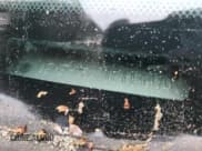 ✅ 2001 Ford Mustang GT Deluxe • VIN: 1FAFP45X31F114470 • Lot: 54060655. Listed on Copart with 107,373 mi. Free auction sales archive from the USA and detailed vehicle history report at DreamBid. Image 12.