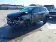 2020 Jeep Compass Latitude с VIN 3C4NJDBB5LT101115, выставлен на аукционе IAAI как лот 41857821 с пробегом 35 550 миль миль и . История ставок и продаж доступна на DreamBid. Изображение 2.