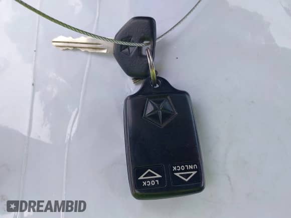 1997 Dodge Dakota z VIN 1B7GL23Y4VS250937, wystawiony jako IAAI lot #42452373 z przebiegiem 170 625 mil mil oraz . Historia ofert i sprzedaży dostępna na DreamBid. Obrazek 11.