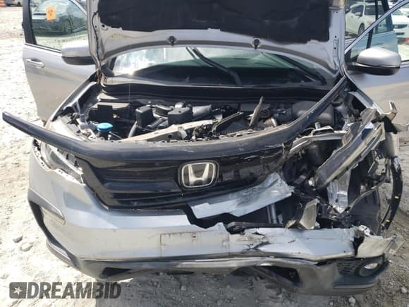 ✅ 2021 Honda Pilot Special Edition • VIN: 5FNYF5H24MB001132 • Лот: 84014165. Опубликован ранее на Copart с пробегом 26 688 миль. Бесплатный доступ к архиву аукционных продаж из США и подробный отчёт об истории автомобиля на DreamBid. Изображение 12.