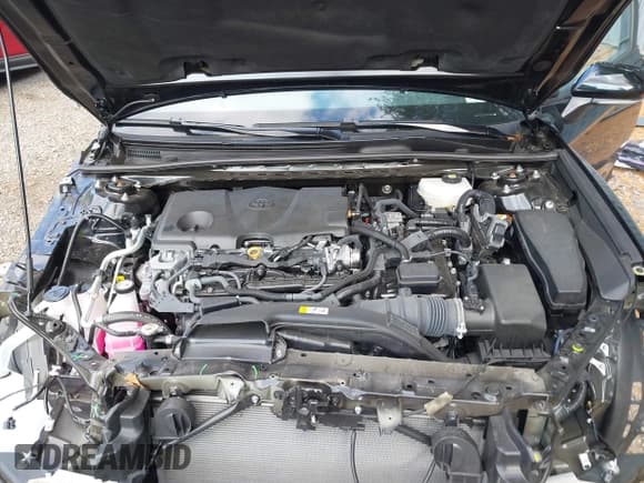 ✅ 2025 Toyota Camry SE • VIN: 4T1DAACK4SU022964 • Lot: 43453260. Listed on IAAI with 15,338 mi. Free auction sales archive from the USA and detailed vehicle history report at DreamBid. Image 10.