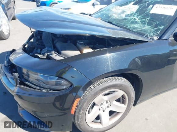 ✅ 2018 Dodge Charger Police • VIN: 2C3CDXAT7JH144133 • Lot: 43520659. Wystawiony na IAAI z przebiegiem 80 566 mil. Bezpłatny archiwum sprzedaży aukcyjnych z USA i szczegółowy raport historii pojazdu na DreamBid. Zdjęcie 20.