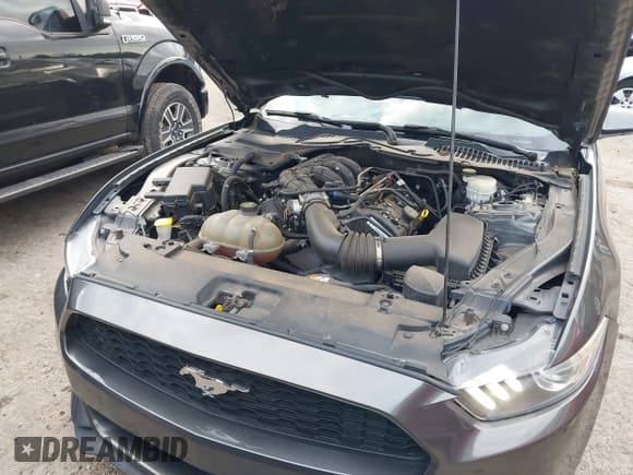 ✅ 2017 Ford Mustang V6 • VIN: 1FA6P8AM3H5286758 • Lot: 42770174. Wystawiony na IAAI z przebiegiem 94 796 mil. Bezpłatny archiwum sprzedaży aukcyjnych z USA i szczegółowy raport historii pojazdu na DreamBid. Zdjęcie 10.