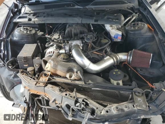 ✅ 2006 Ford Mustang Standard • VIN: 1ZVFT80NX65224073 • Lot: 55227215. Listed on Copart with 231,218 mi. Free auction sales archive from the USA and detailed vehicle history report at DreamBid. Image 11.