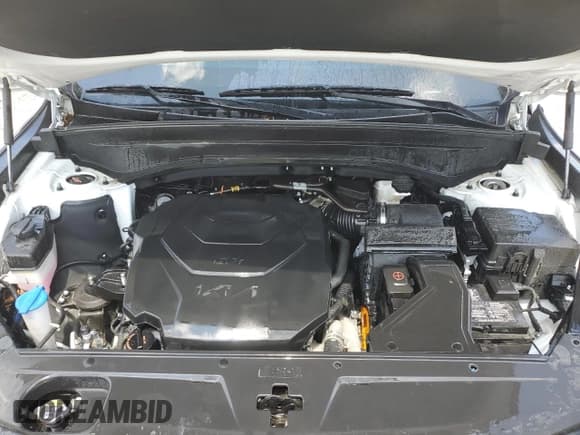 ✅ 2022 Kia Telluride SX • VIN: 5XYP54HC1NG302615 • Lot: 67863665. Wystawiony na Copart z przebiegiem 103 471 mil. Bezpłatny archiwum sprzedaży aukcyjnych z USA i szczegółowy raport historii pojazdu na DreamBid. Zdjęcie 12.