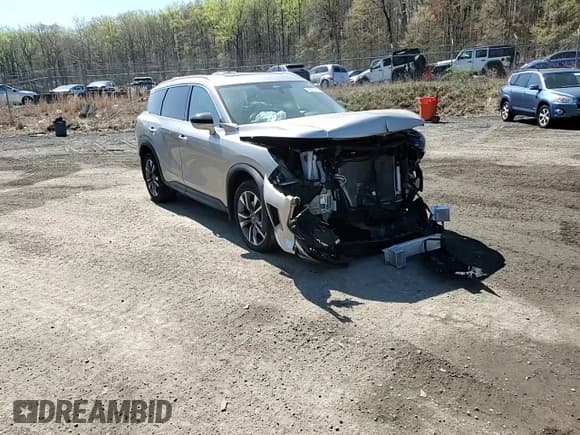 ✅ 2023 Infiniti QX60 Luxe • VIN: 5N1DL1FS0PC357691 • Lot: 52239795. Listed on Copart with 40,907 mi. Free auction sales archive from the USA and detailed vehicle history report at DreamBid. Image 11.
