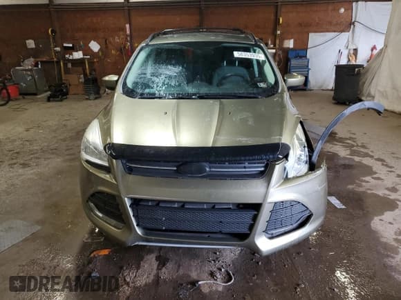 ✅ 2013 Ford Escape SE • VIN: 1FMCU9G9XDUD51079 • Lot: 58353935. Listed on Copart with 120,424 mi. Free auction sales archive from the USA and detailed vehicle history report at DreamBid. Image 5.