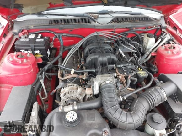 ✅ 2009 Ford Mustang • VIN: 1ZVHT80N795126826 • Lot: 43254226. Listed on IAAI with Not provided. Free auction sales archive from the USA and detailed vehicle history report at DreamBid. Image 10.