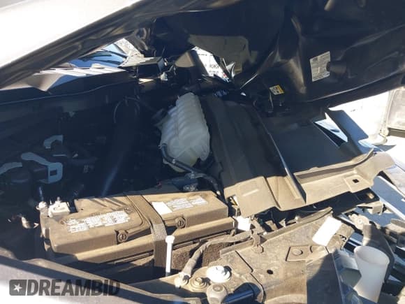 ✅ 2024 Ford F-150 XLT • VIN: 1FTEW3KP0RKE73298 • Lot: 43456754. Wystawiony na IAAI z przebiegiem 7 994 mil. Bezpłatny archiwum sprzedaży aukcyjnych z USA i szczegółowy raport historii pojazdu na DreamBid. Zdjęcie 10.