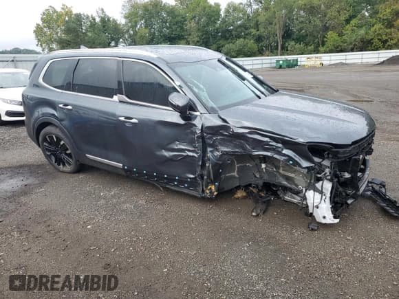 ✅ 2024 Kia Telluride SX • VIN: 5XYP54GC5RG554584 • Lot: 80985525. Listed on Copart with 3,785 mi. Free auction sales archive from the USA and detailed vehicle history report at DreamBid. Image 4.