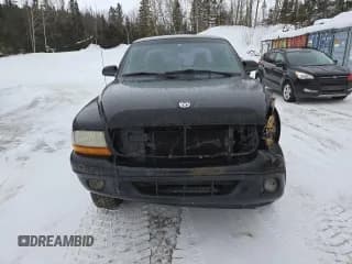 ✅ 2000 Dodge Dakota Sport • VIN: 1B7GG22N9YS708746 • Lot: 47067725. Wystawiony na Copart z przebiegiem 292 586 mil. Bezpłatny archiwum sprzedaży aukcyjnych z USA i szczegółowy raport historii pojazdu na DreamBid. Zdjęcie 5.