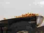 2008 Chevrolet Silverado 2500HD 1LT z VIN 1GCHK24K58E176206, wystawiony jako IAAI lot #43454556 z przebiegiem 129 868 mil mil oraz . Historia ofert i sprzedaży dostępna na DreamBid. Obrazek 1.