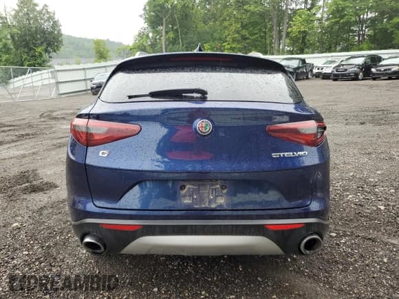 ✅ 2020 Alfa Romeo Stelvio • VIN: ZASPAKAN8L7C98818 • Лот: 66991325. Опубликован ранее на Copart с пробегом Не указан. Бесплатный доступ к архиву аукционных продаж из США и подробный отчёт об истории автомобиля на DreamBid. Изображение 6.